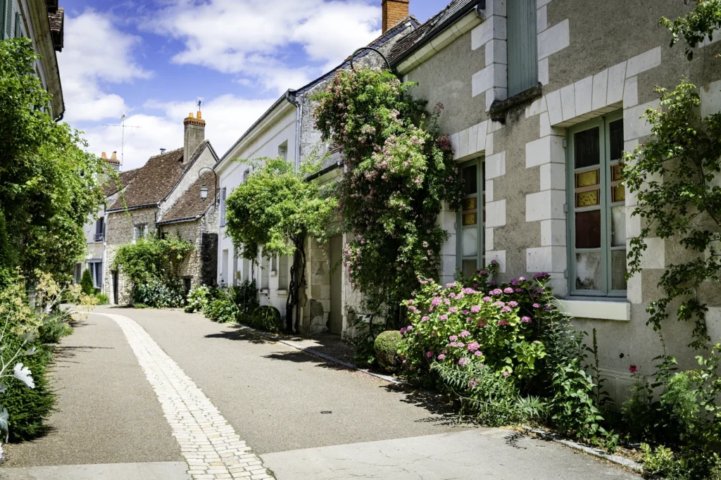 Expert Immobilier Local